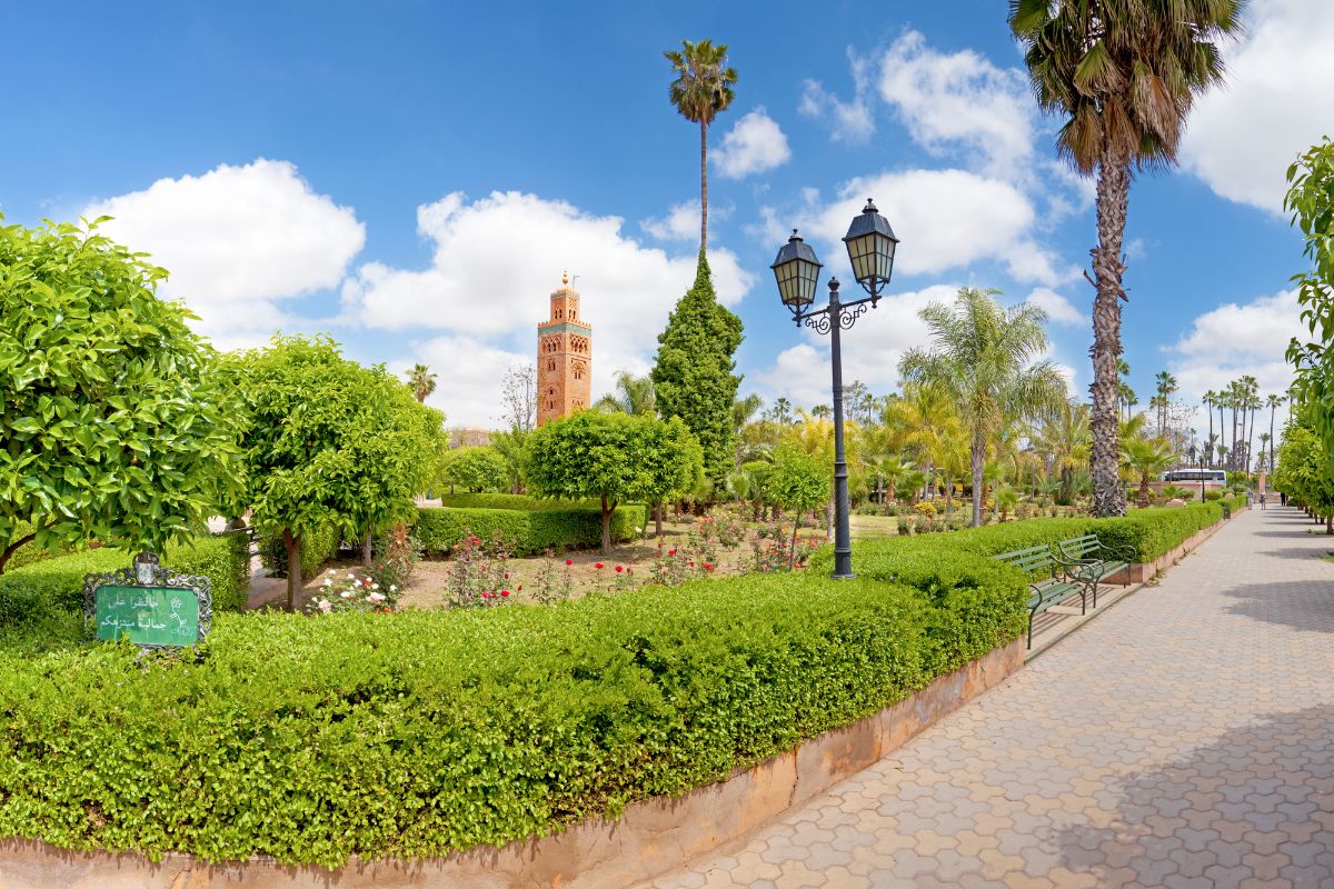 The Best 5 Morocco Gardens