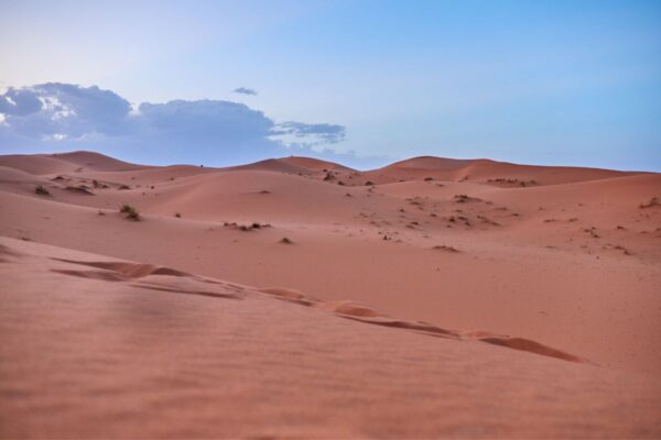 Desert tour from Fes